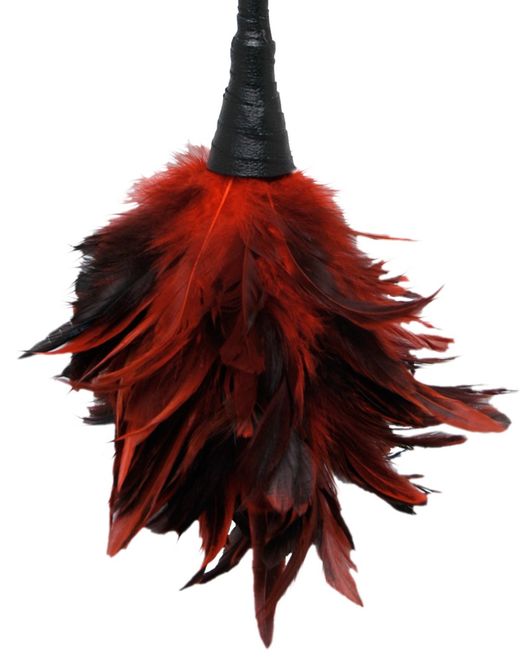 Hovedbilde Frisky Feather Duster