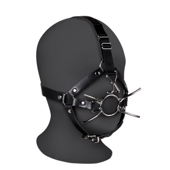 Hovedbilde OUCH!  Xtreme  Hodeharness Med Spidergag Og ...